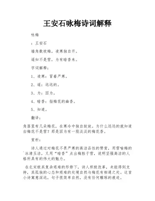 王安石咏梅诗词解释
