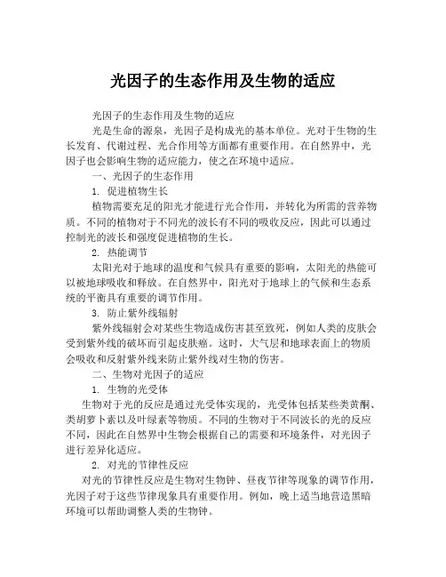 光因子的生态作用及生物的适应