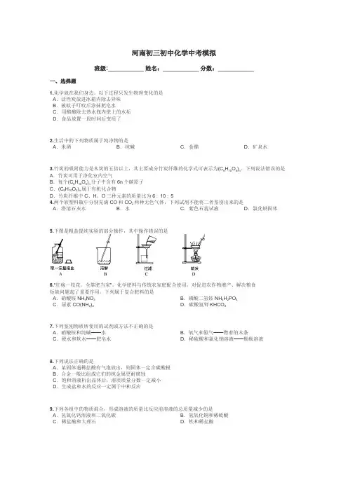 河南初三初中化学中考模拟带答案解析

