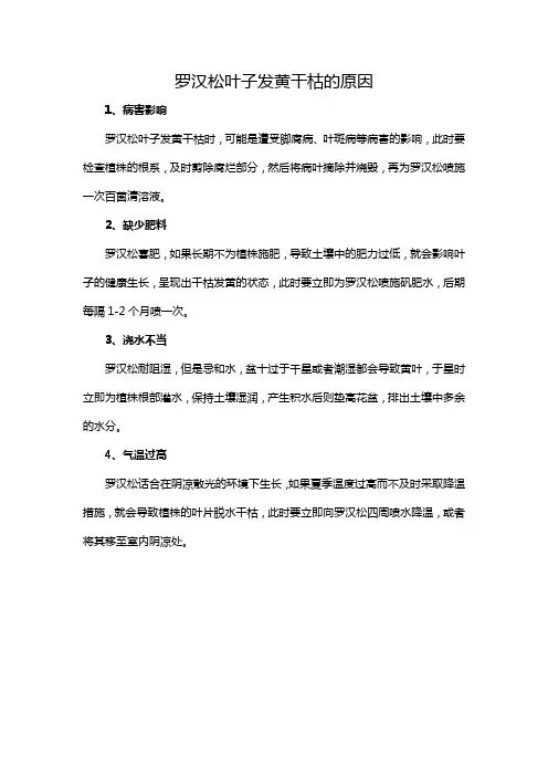 罗汉松叶子发黄干枯是什么原因