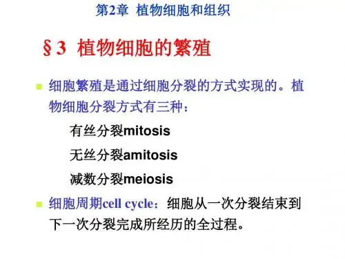 《植物学教学资料》第2章细胞与组织2马炜梁版-精选文档
