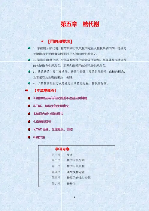 生物化学讲义第五章糖代谢