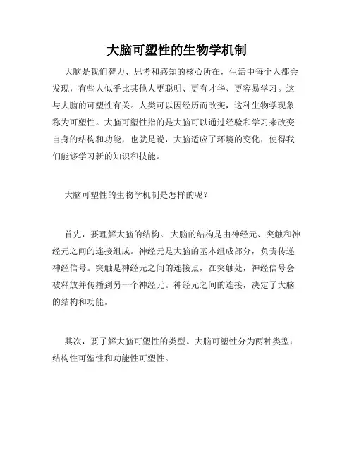 大脑可塑性的生物学机制