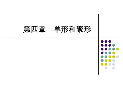 《结晶学》第4章晶体的理想形状