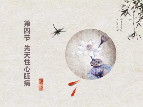 超声诊断学一先天性心脏病
