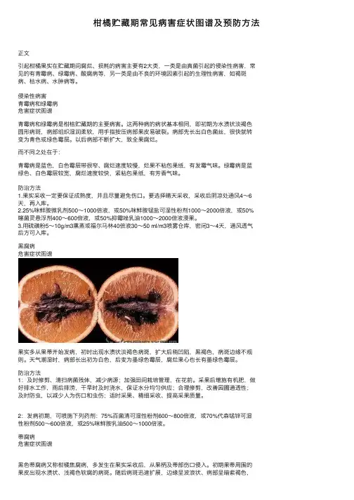 柑橘贮藏期常见病害症状图谱及预防方法