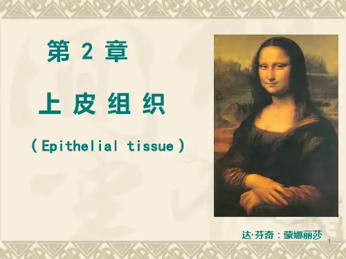 组织学-上皮组织PPT课件