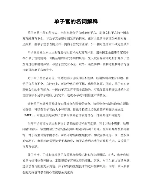 单子宫的名词解释