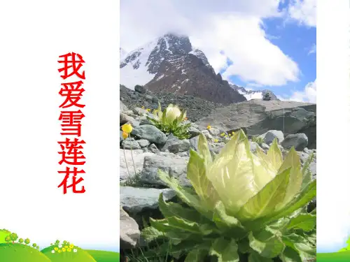 人音版二年级音乐《我爱雪莲花》课件2