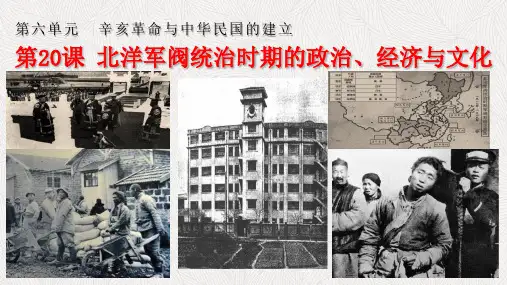 统编版中外历史纲要上第20课 北洋军阀统治时期的政治、经济与文化