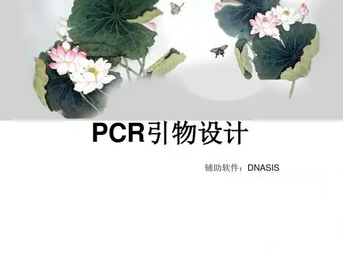 引物设计ppt