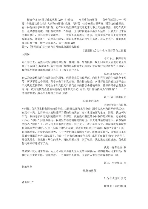 向日葵花的奥秘(200字)作文