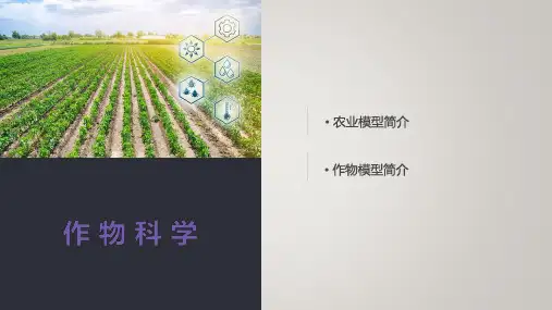 农业模型与作物模型简介