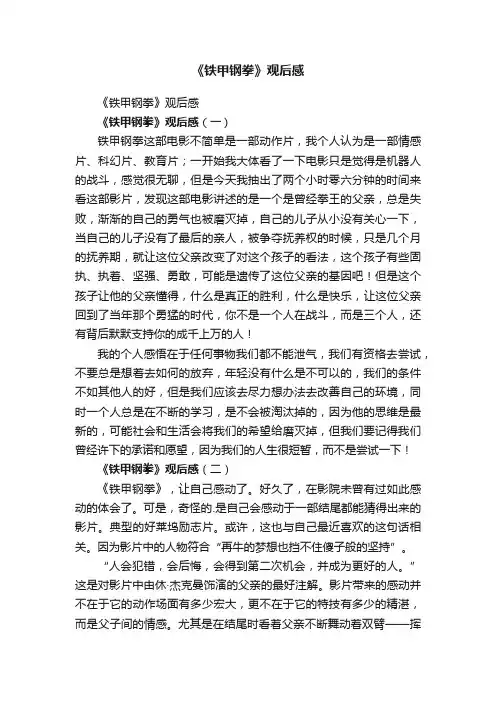 《铁甲钢拳》观后感