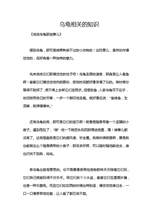 乌龟相关的知识