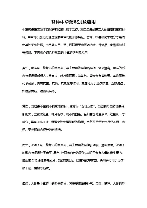 各种中草药识别及应用