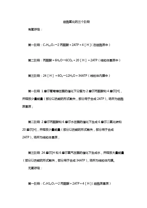 细胞氧化的三个阶段