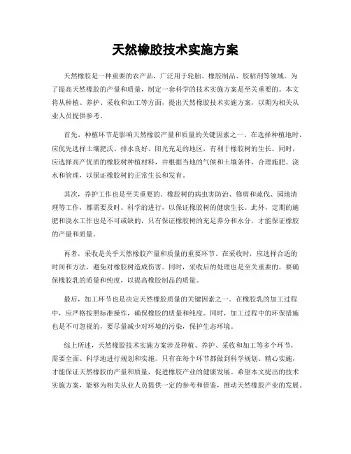 天然橡胶技术实施方案