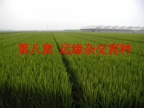 第8章 远缘杂交