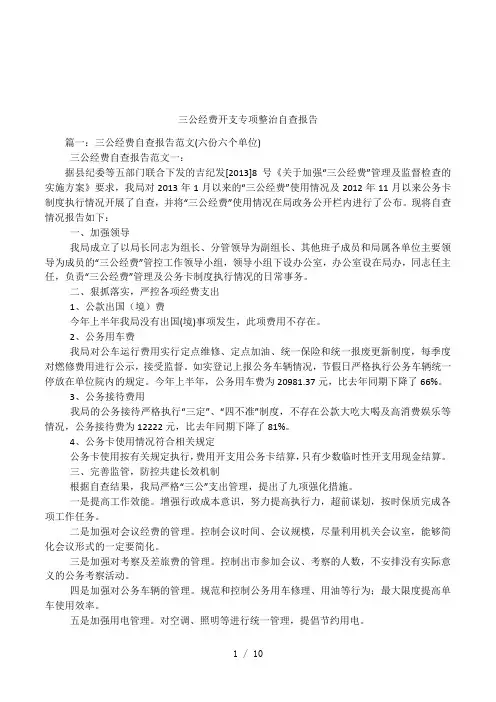 三公经费开支专项整治自查报告