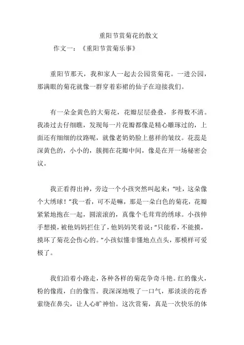 重阳节赏菊花的散文