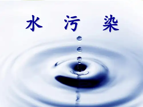 环境法水污染 ppt课件