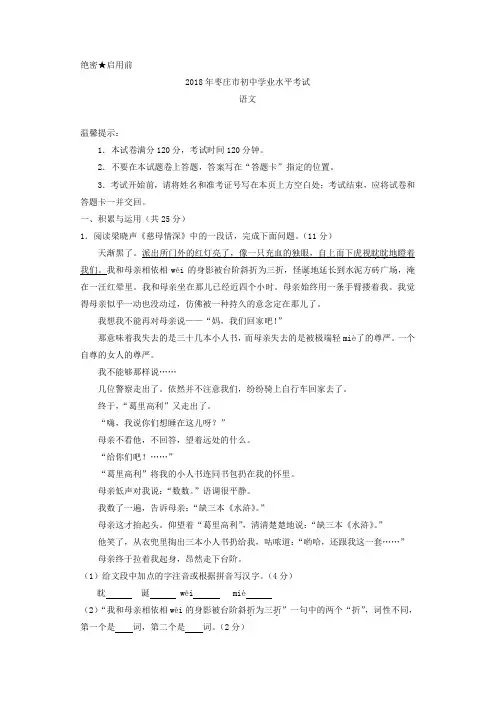 2018年山东省枣庄市初中学业水平考试语文试题(精心校对版) 2