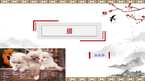 部编版七年级语文上册16《猫》公开课课件