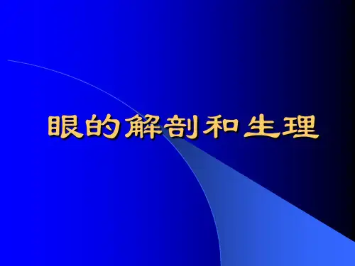 眼的解剖和生理