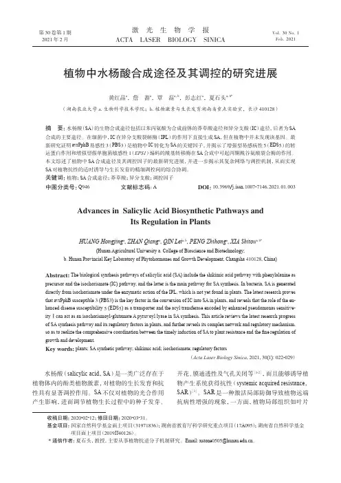 植物中水杨酸合成途径及其调控的研究进展