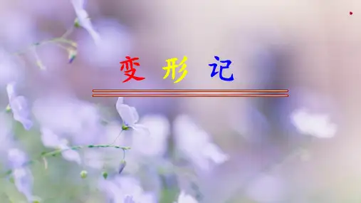 《变形记》名师课件(共28张PPT)