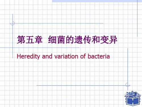 细菌的遗传和变异PPT演示文稿