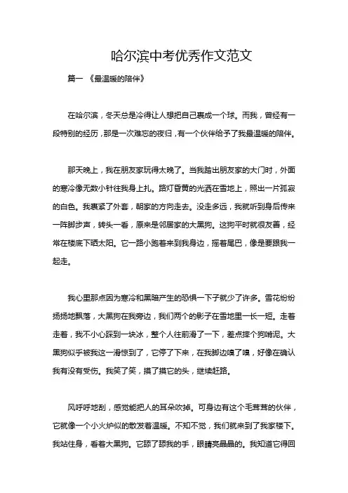 哈尔滨中考优秀作文范文
