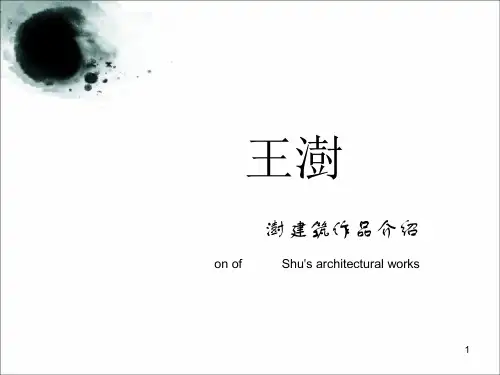 王澍作品分析ppt课件