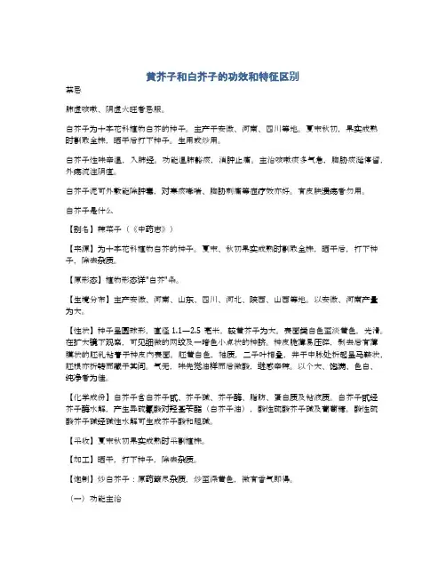 黄芥子和白芥子的功效和特征区别