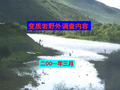 变质岩区填图方法