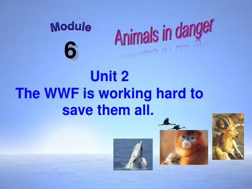 外研版八年级英语上册Module6Unit2TheWWFisworkinghardtosavethemall课件