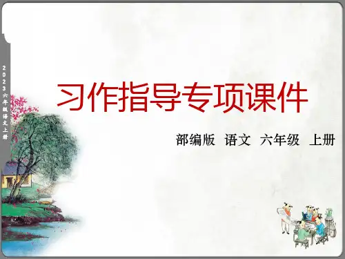 人教部编版六年级上册习作学写倡议书指导课件(共15张PPT)