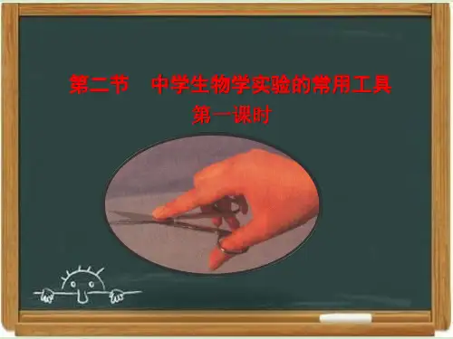 北京版七年级生物上册《中学生物学实验的常用工具》第1课时教学课件