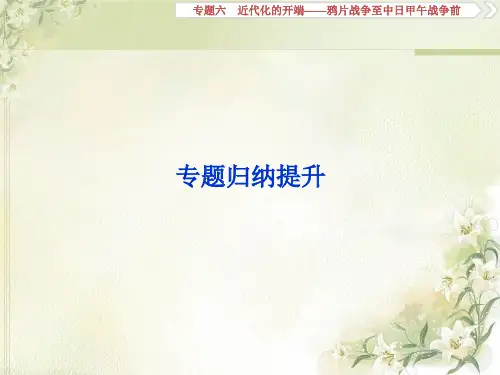 2020届高考历史(通史版)一轮复习专题六近代化的开端——鸦片战争至中日甲午战争前归纳提升