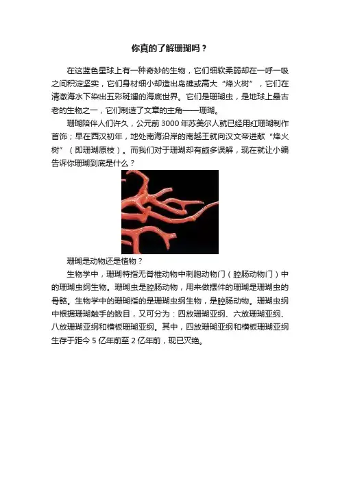 你真的了解珊瑚吗？