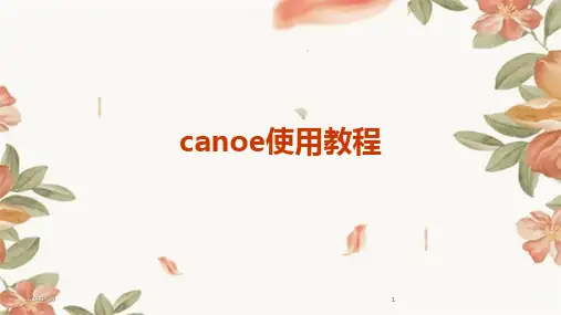 2024版canoe使用教程[1]