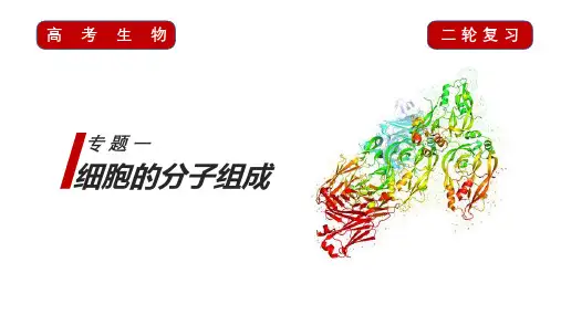 高考生物二轮复习专题课件 专题一 细胞的分子组成