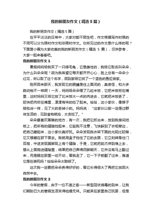 我的新朋友作文（精选5篇）