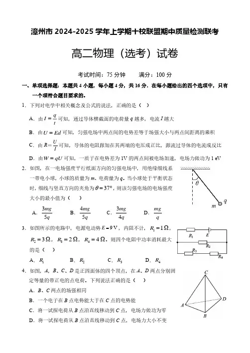 漳州市2024-2025学年上学期十校联盟期中质量检测联考高二物理(选考)试卷及答案