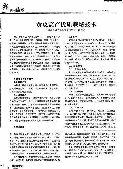 黄皮高产优质栽培技术