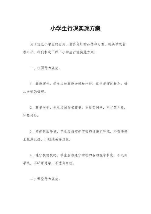 小学生行规实施方案
