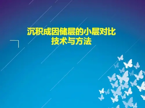 沉积成因储层小层对比