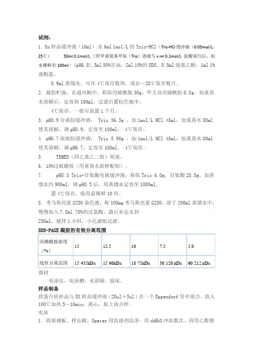 SDS-PAGE实验步骤