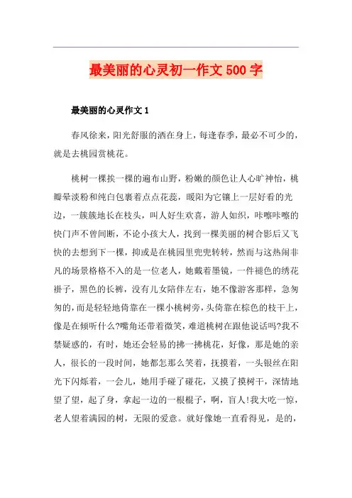 最美丽的心灵初一作文500字